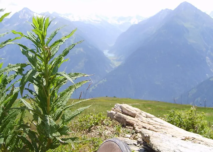 Lejlighed Andrea Uderns