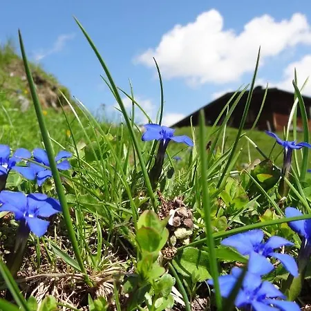 Appartement Andrea *